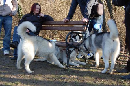 Прикачена снимка
