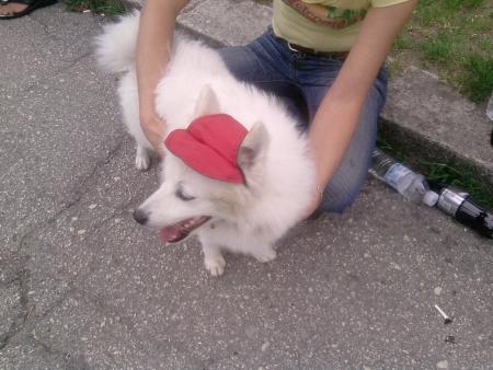 Прикачена снимка