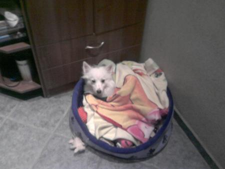 Прикачена снимка