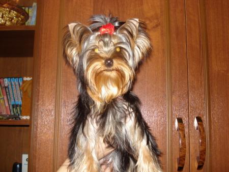 Прикачена снимка