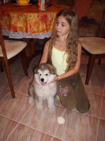 Прикачена снимка