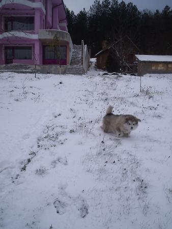 Прикачена снимка