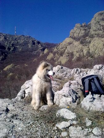 Прикачена снимка