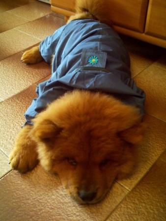 Прикачена снимка