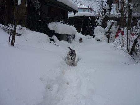 Прикачена снимка