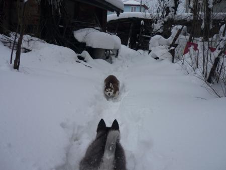 Прикачена снимка