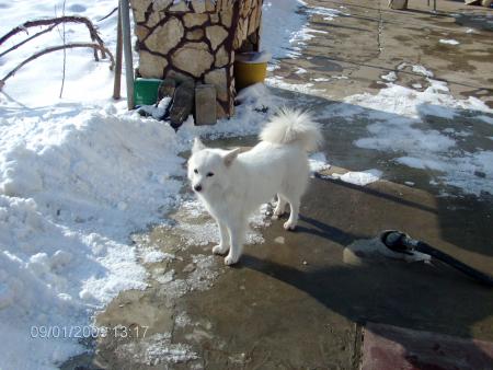 Прикачена снимка