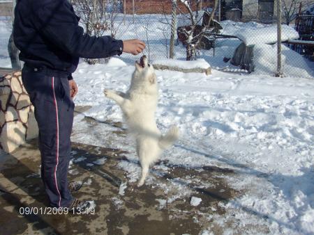 Прикачена снимка