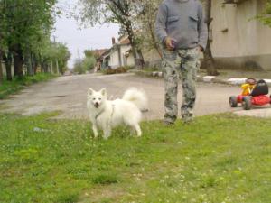 Прикачена снимка