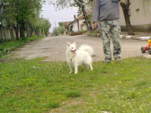Прикачена снимка