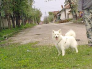 Прикачена снимка