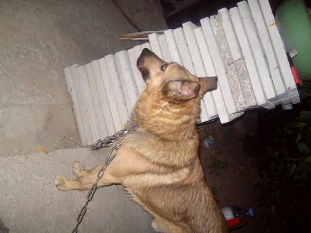 Прикачена снимка