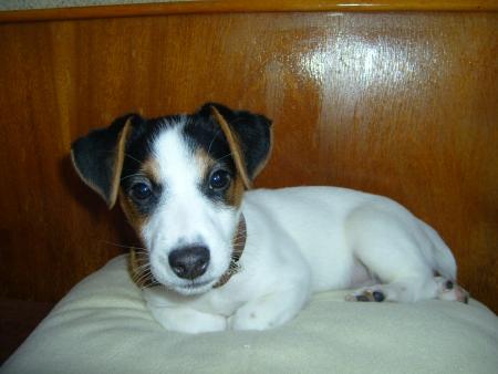 Прикачена снимка