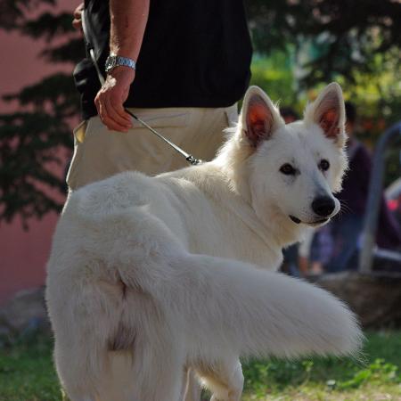 Прикачена снимка