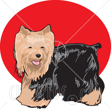 Прикачена снимка