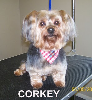 Прикачена снимка