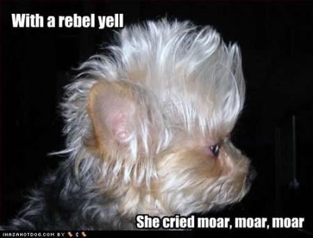 Прикачена снимка