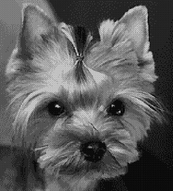 Прикачена снимка