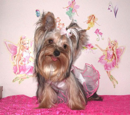 Прикачена снимка