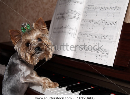 Прикачена снимка