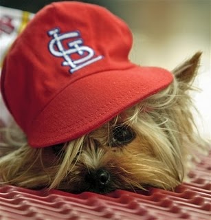 Прикачена снимка