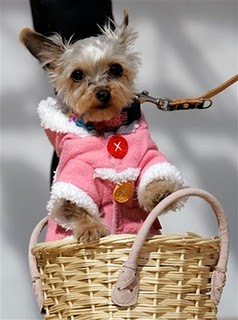 Прикачена снимка