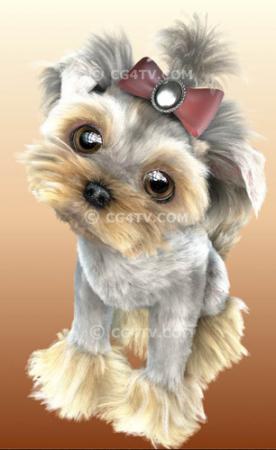 Прикачена снимка