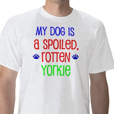 Прикачена снимка