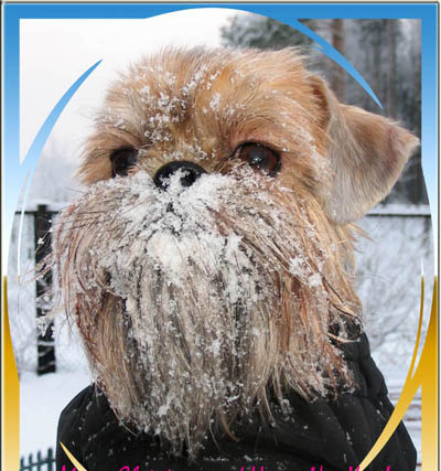 Прикачена снимка