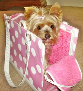 Прикачена снимка