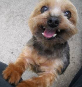 Прикачена снимка