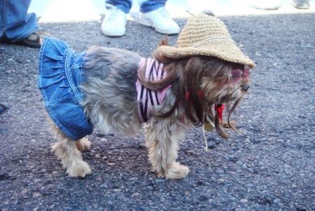 Прикачена снимка