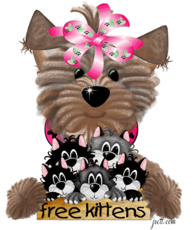 Прикачена снимка