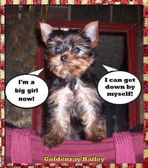 Прикачена снимка