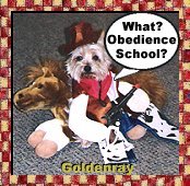 Прикачена снимка