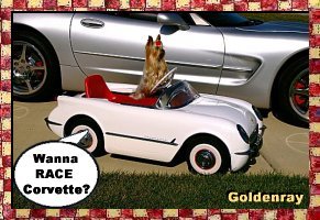 Прикачена снимка