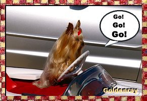 Прикачена снимка