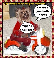 Прикачена снимка