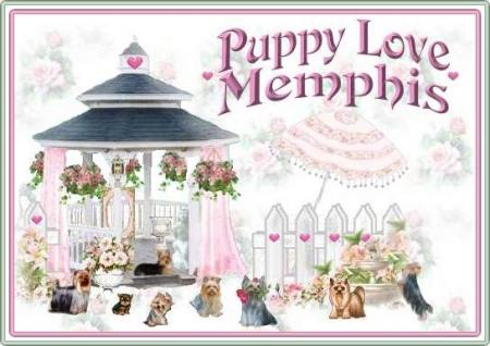 Прикачена снимка