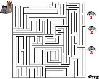 Прикачена снимка