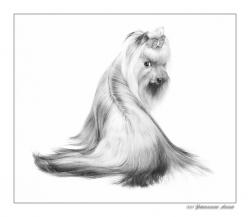 Прикачена снимка