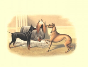 Прикачена снимка