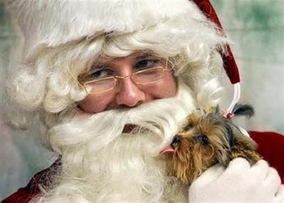 Прикачена снимка