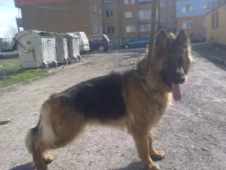 Прикачена снимка