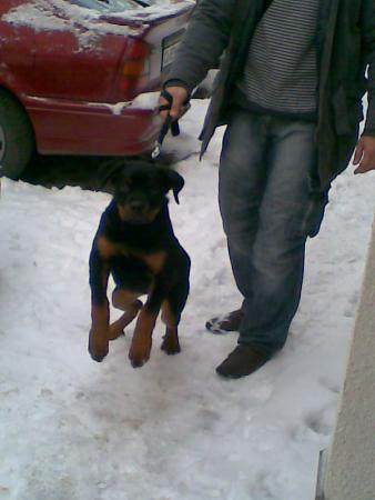 Прикачена снимка