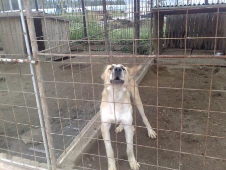Прикачена снимка