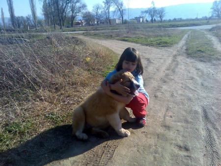Прикачена снимка