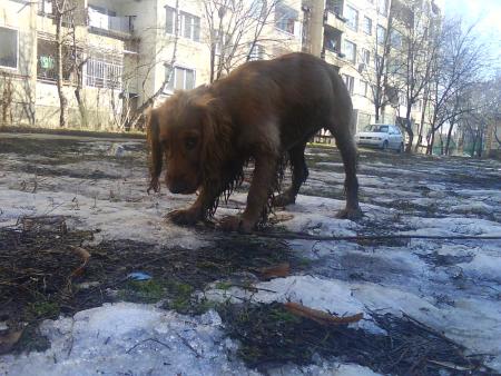 Прикачена снимка