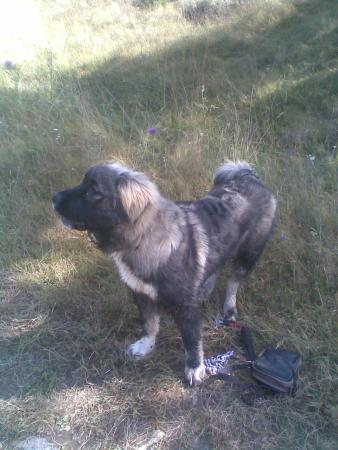 Прикачена снимка