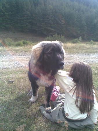 Прикачена снимка